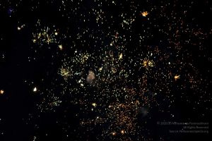 20161030 Photo 322 1uCvvdX9yMDcFSMN0I8aSXCxSqQTifN2l.jpg