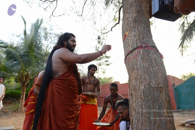 20161031 Photo 1008 1Eoul0G6croz-KScRofMsL26OKhYtM6Og.JPG