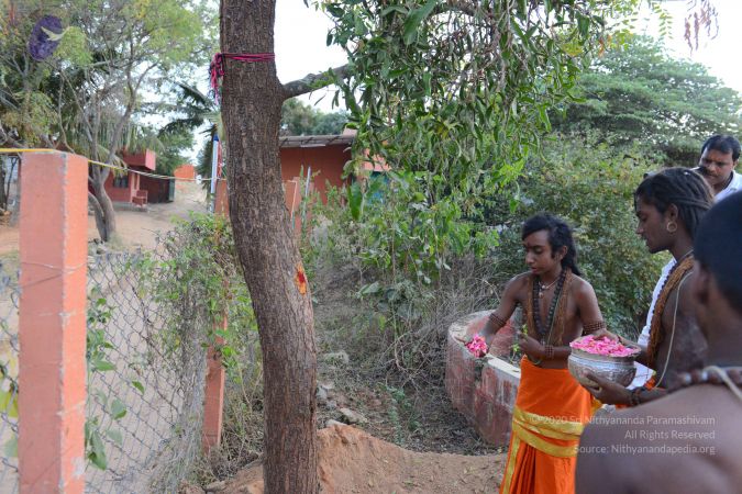 20161031 Photo 1016 1Ks2QL xj8TShykQ4e7X3WWrcRrKJeyQs.JPG