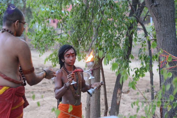 20161031 Photo 1038 1Niqt6O2qg ar7lx70apwdO19DaGtSL1V.JPG