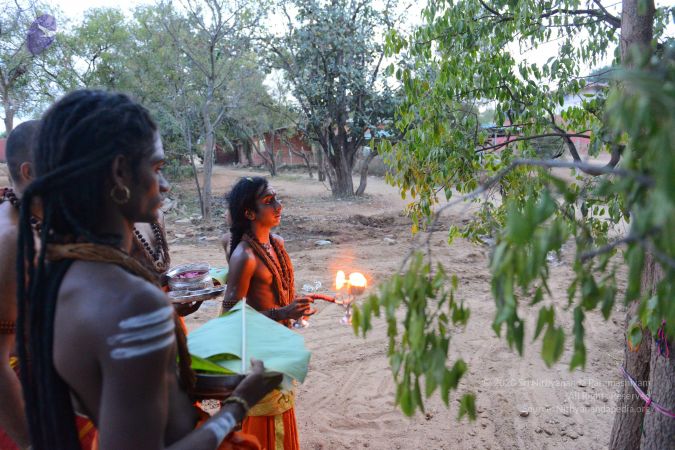 20161031 Photo 1041 1Q4VusNaOl0vQHp1NFVkvY0FLcLU3dSE0.JPG