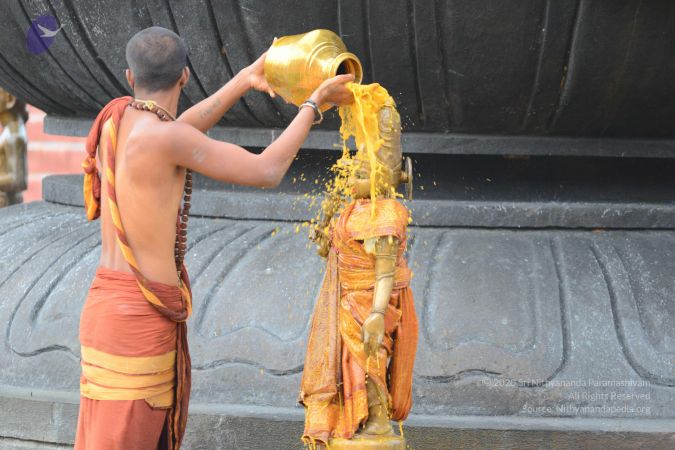 20161031 Photo 1063 1a5XZE-UJeFHbKLHTWnePAI9vVXi3pGNf.JPG