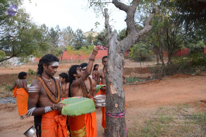 20161031 Photo 1082 1HuGuY6dq8Q3kUf5UVG BrITswKfkLA3z.JPG