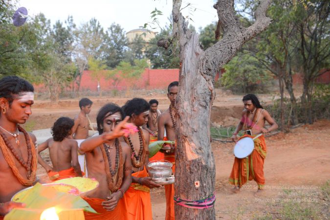 20161031 Photo 1083 1EgV3URq4OEY1pJa8ugO1FkOLQB4rfMxM.JPG