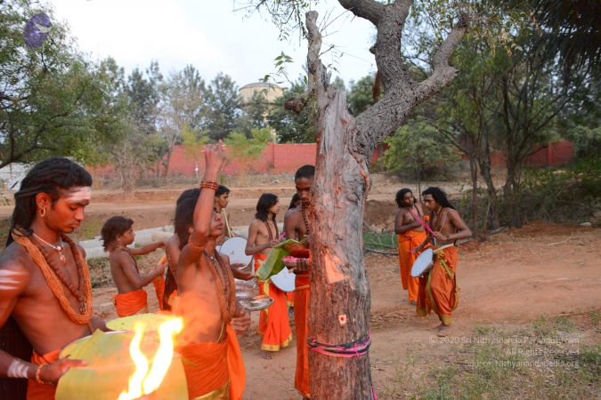 20161031 Photo 1088 16QhJNdSCAeeZvhVprd IebrSwMH3tNBF.JPG