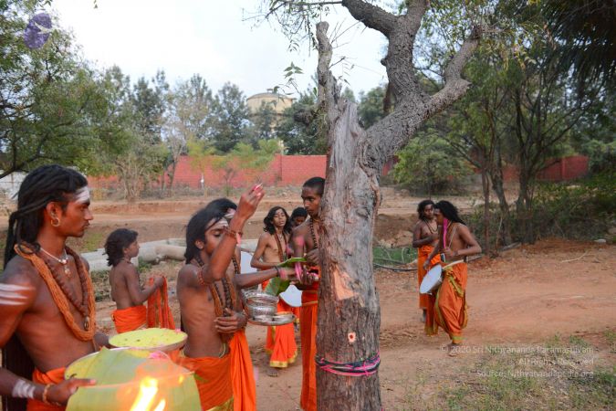 20161031 Photo 1091 12IpHd7wYeP4IR4WhtNwrPoEJxopyuTD0.JPG