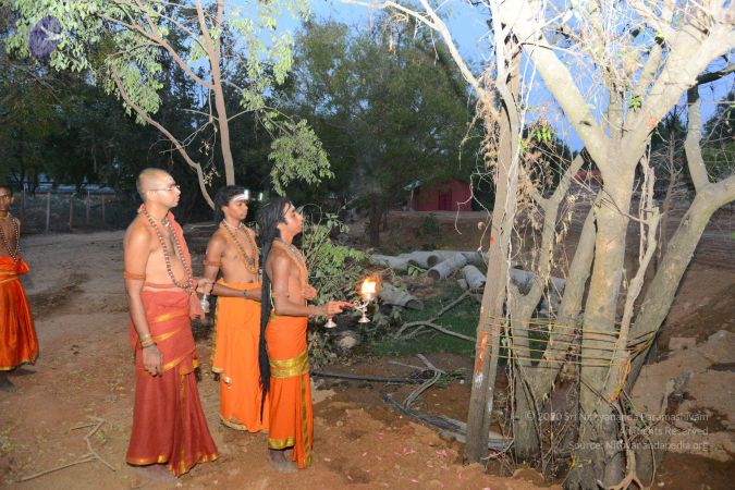 20161031 Photo 1109 1 NLw 6KuTuZRd5kQa24a4cwxKMZDfZwG.JPG