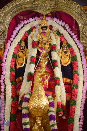 20161102 Photo 1030 1IKoO6mcmVQhBVQvPsD8WeCQfGbO7vG74.JPG