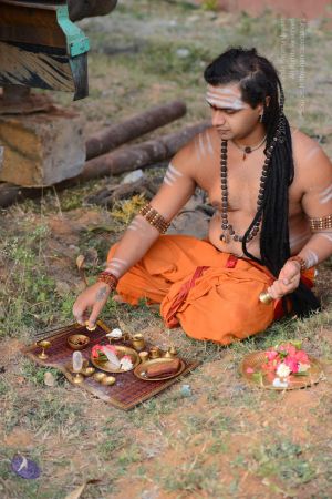 20161103 Photo 1014 1lA-ELTFBgcuiIAtHqANQdfuxsrxo5S8K.JPG