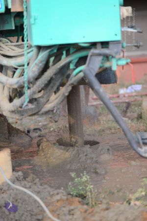 20161103 Photo 1040 1au6oh6cQJH0Dm1Ty82dUxdMS-iAg9uaC.JPG