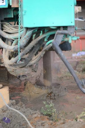 20161103 Photo 1044 1YqLjZGK aa0bBUrJ-VarqQSa-fN1FFvf.JPG