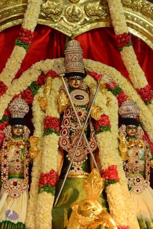 20161103 Photo 1240 1c9oD3w9OFFWqQI8Qc0lI98PXJcuyqCsR.JPG