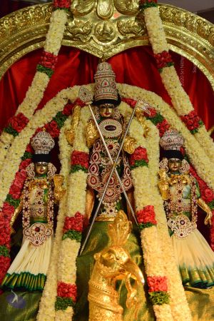 20161103 Photo 1242 1WdaYUKFhYQupkQwLRHh0nlFtgYUjXM5u.JPG