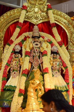 20161103 Photo 1245 1z85Y4WcdA53A0FMQOLxZCnkfQQhHFAoy.JPG