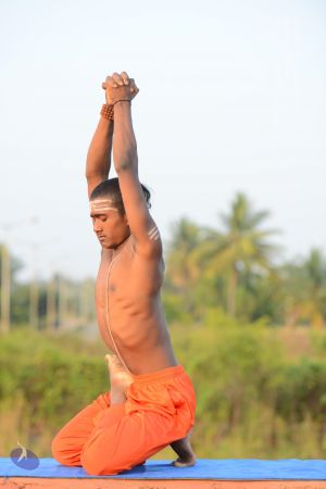 20161104 Photo 1204 1AKrhIP9RRsXrm-ihDP3cAVdHnoG3SOI4.JPG