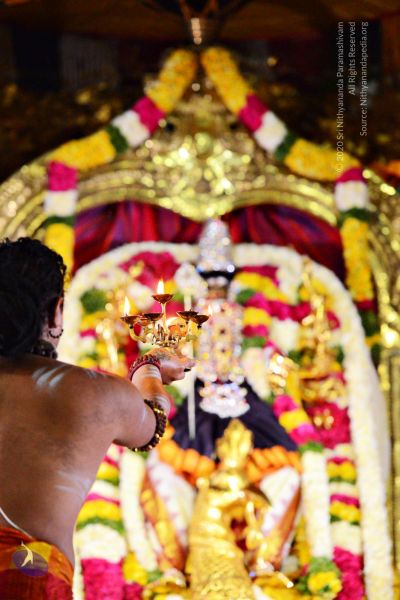 File:20161105 4127 CMP WM watermark.jpg