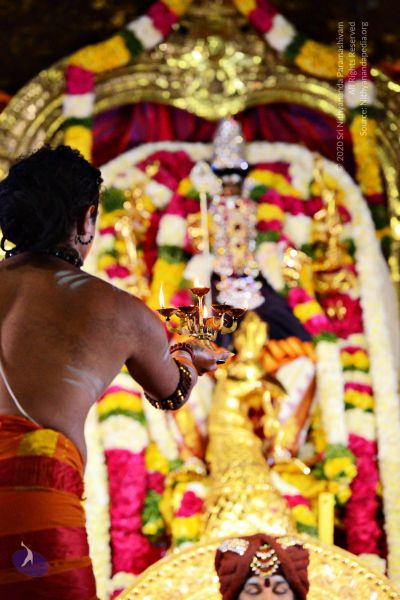 File:20161105 4128 CMP WM watermark.jpg