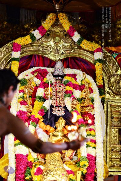 File:20161105 4138 CMP WM watermark.jpg