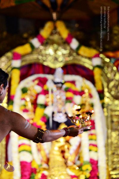 File:20161105 4139 CMP WM watermark.jpg