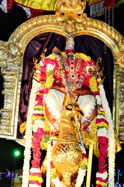 File:20161105 4346 CMP WM watermark.jpg