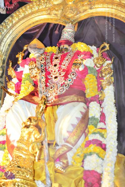 File:20161105 4405 CMP WM watermark.jpg