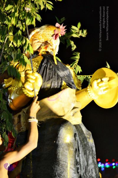 File:20161105 4508 CMP WM watermark.jpg