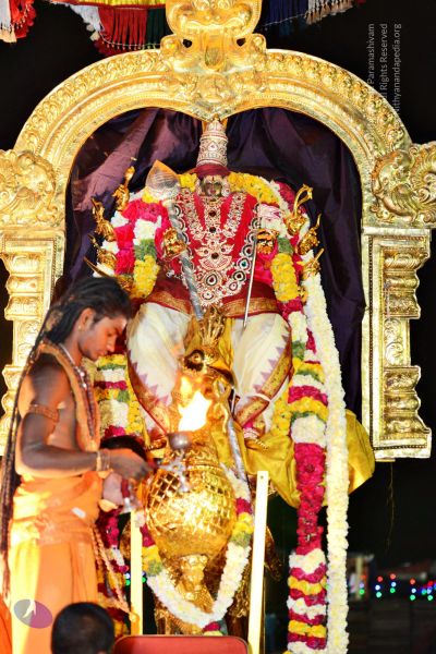 File:20161105 4538 CMP WM watermark.jpg