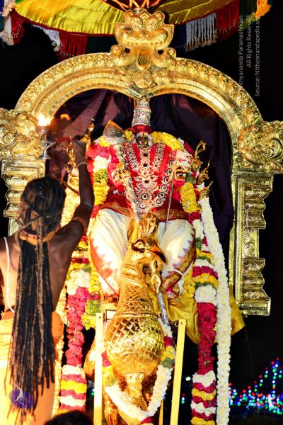 File:20161105 4543 CMP WM watermark.jpg