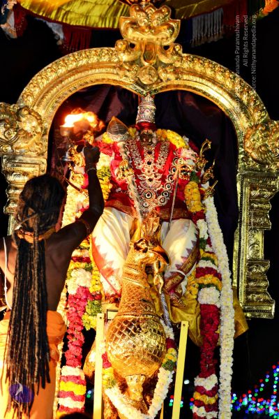 File:20161105 4545 CMP WM watermark.jpg