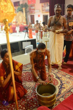 20161106 Photo 1064 1gOZMDdYh-m0l2aUzxByJFBBLPTCvX85x.JPG