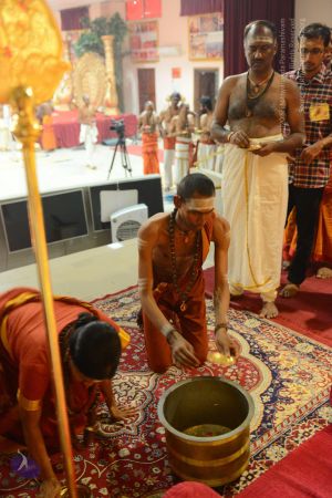 20161106 Photo 1065 1Vkq7YKQeqILRafgir63HDFE30OpflDJq.JPG