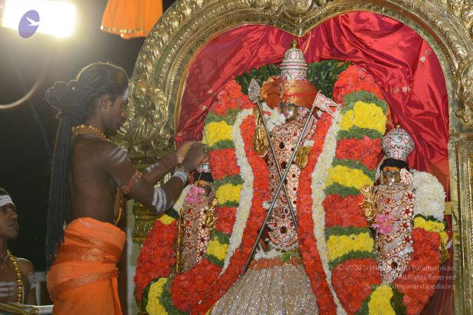 20161106 Photo 1107 1 LgSFnKPUWe4QBek3pg8uhXsvp2Dk3mI.JPG