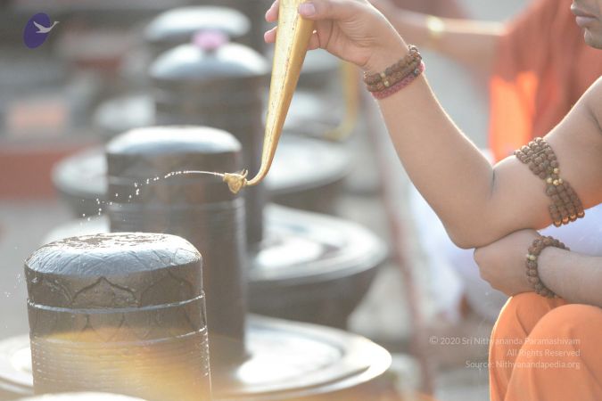 20161111 Photo 1048 11JeKpFvMsEOWzwZEoP3jBJizshK6mIEG.JPG