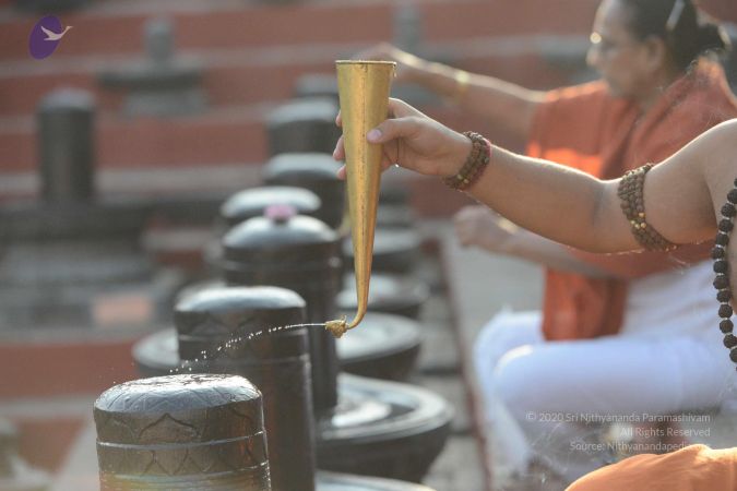 20161111 Photo 1058 1TCr0Nav90BDt3hSkCh5wCcSfNxKZf-1X.JPG