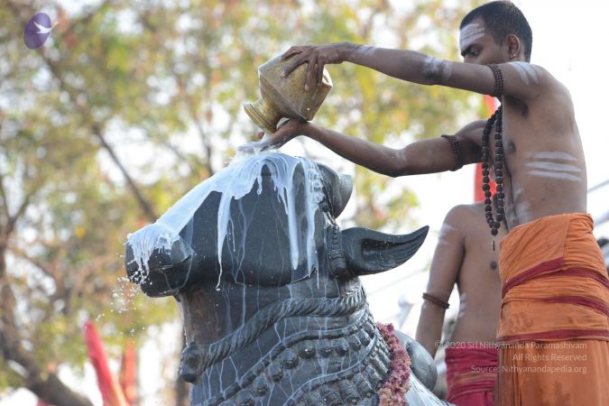 20161111 Photo 1068 1z1 dBVZTOBJSZ4ZY4fNyqMGdxwM98KMU.JPG