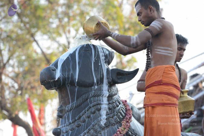 20161111 Photo 1071 1nJeeaxJzutbmy8ih332XbwBq8MqmBOA7.JPG