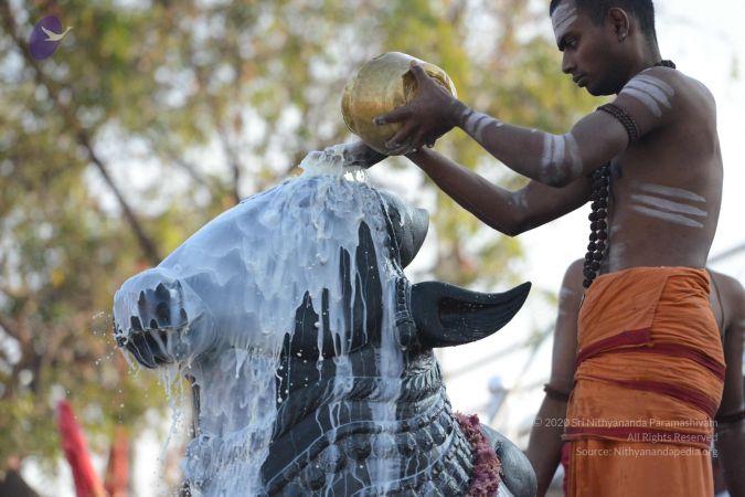 20161111 Photo 1074 1lv5TxqT DDSGFxhNKaQCvo4GAZiDk4zT.JPG