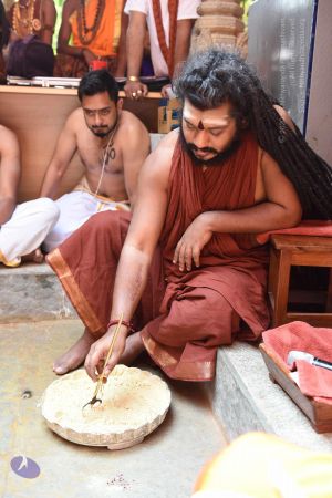 20161111 Photo 1075 1ZQVv0z2cLHq0B6fFbXWFDZSU6oS7xcTK.JPG