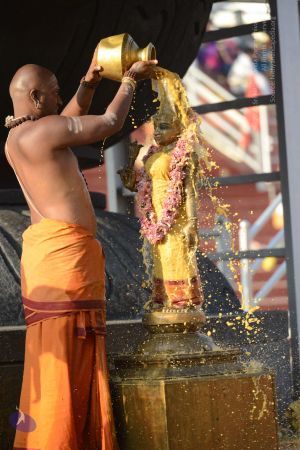 20161111 Photo 1082 1VPu-OefWWvQLIkFZykL7tX5-lrAkxFzy.JPG