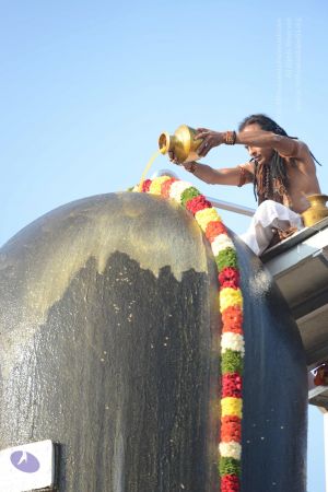 20161111 Photo 1087 1HbUE3JRZblB3GgWK2j-nYnuq5dQyoZ3p.JPG