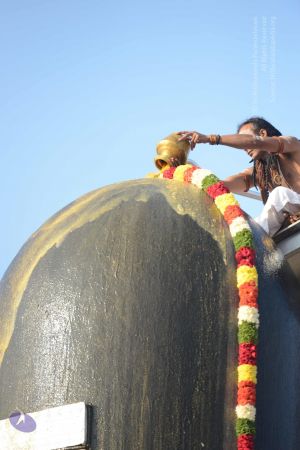 20161111 Photo 1090 1LePkN0HgH7uYeiki8p9MvMzPnfpTsw-J.JPG