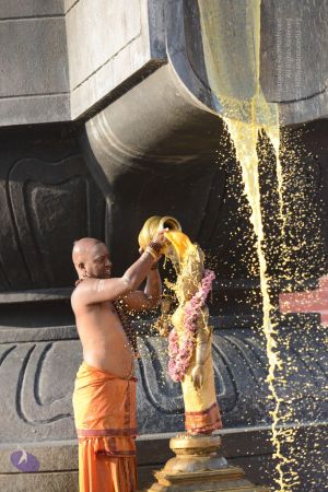 20161111 Photo 1095 1Z92kah8kZmzVBDZMEWNS8hltZHkCYa4o.JPG