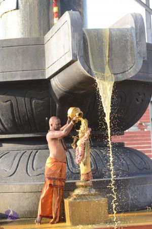 20161111 Photo 1099 1bhu-uhVWE2n0iaGGKccwaTns4Pan 5dW.JPG