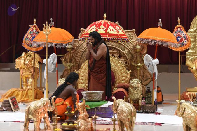 20161111 Photo 1120 1a1HNQOJzoC3KGpctjClVQNNrJmq2 0Tv.JPG