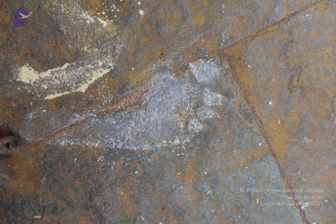 20161111 Photo 1183 1jkRZ1p8tTO7ADdF0xUHFciPxhdXtEag .JPG