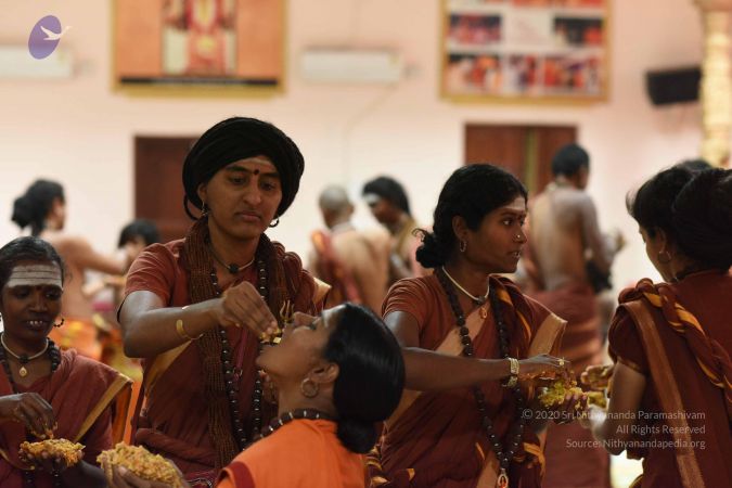 20161111 Photo 1191 1qQxXF9qXT0e ijIwiwTE0-SMGEaR 3mS.JPG