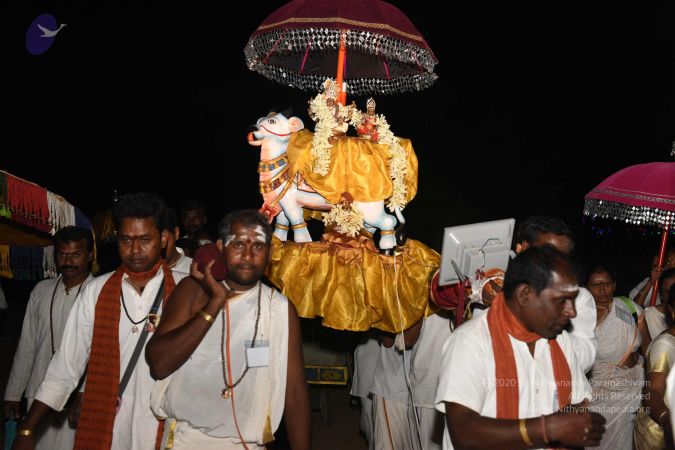 20161112 Photo 1066 1x6k1E4ZxkoU4L7CDaLFvnyxImDeixlif.JPG