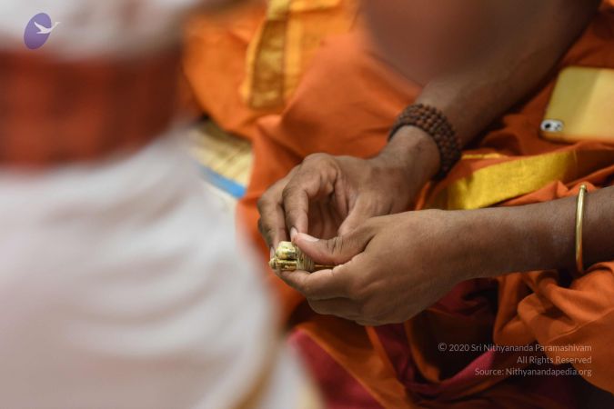 20161112 Photo 1152 1nGzjq1G5Zy2WkYbZI0wIPT3cNhEgi26o.JPG