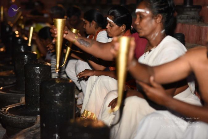 20161114 Photo 1010 1bSL5RHQm4LOV6pBn2V9YNWMuq0utgqmU.JPG