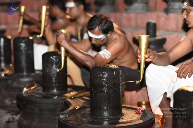 20161114 Photo 1014 1RkPE6mjweFA9BIlhznaREHvJEIH1Jbmj.JPG